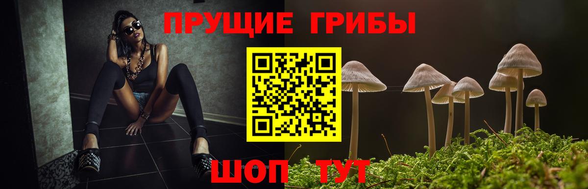 Галлюциногенные грибы MAGIC MUSHROOMS  Вход с VPN  Ковров 